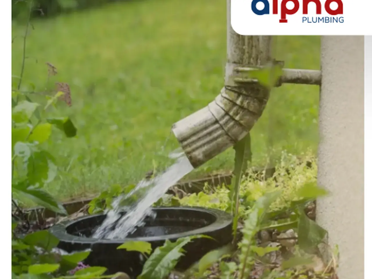 Top 17 expert tips for rainwater harvesting in South Africa – premium plumbing advice