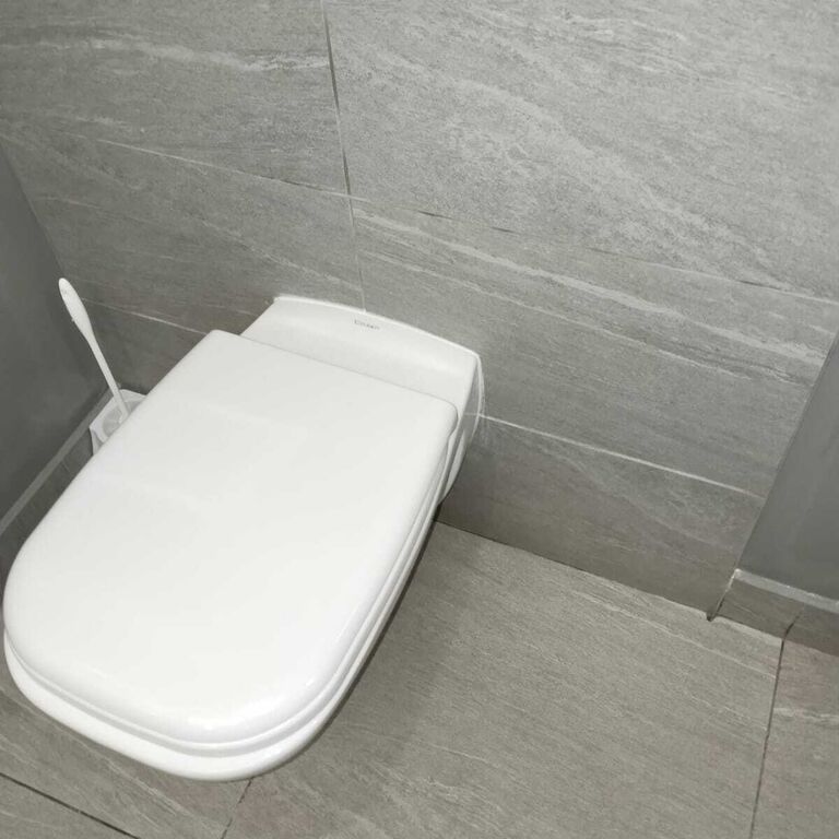 Newly installed wall-mounted toilet