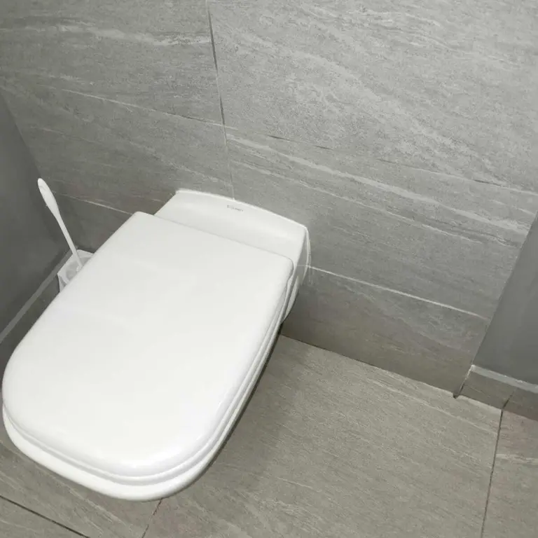 Newly installed wall-mounted toilet