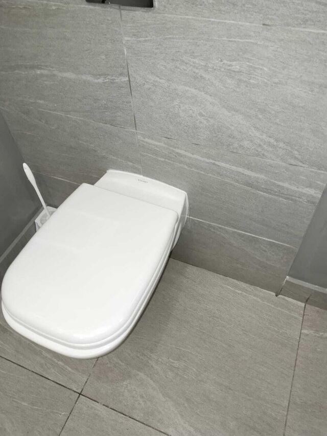 Newly installed wall-mounted toilet