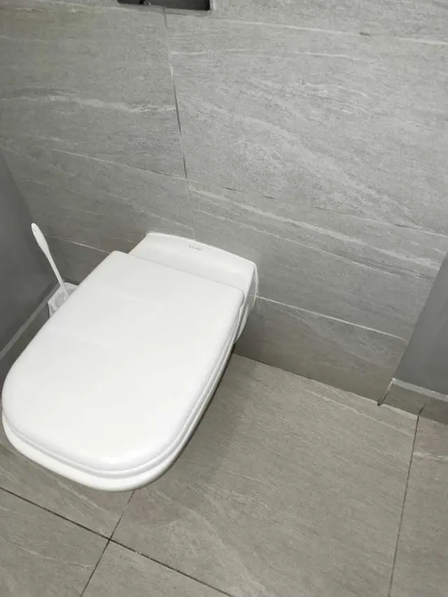 Newly installed wall-mounted toilet