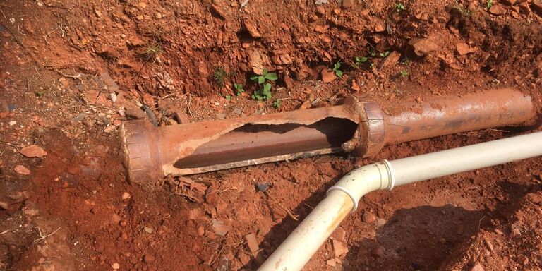 Damaged sewer line