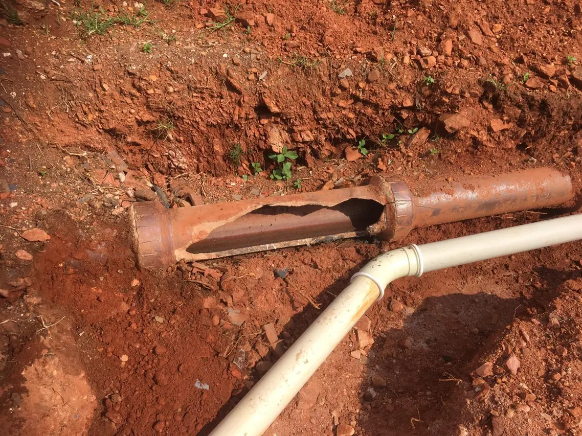 Damaged sewer line