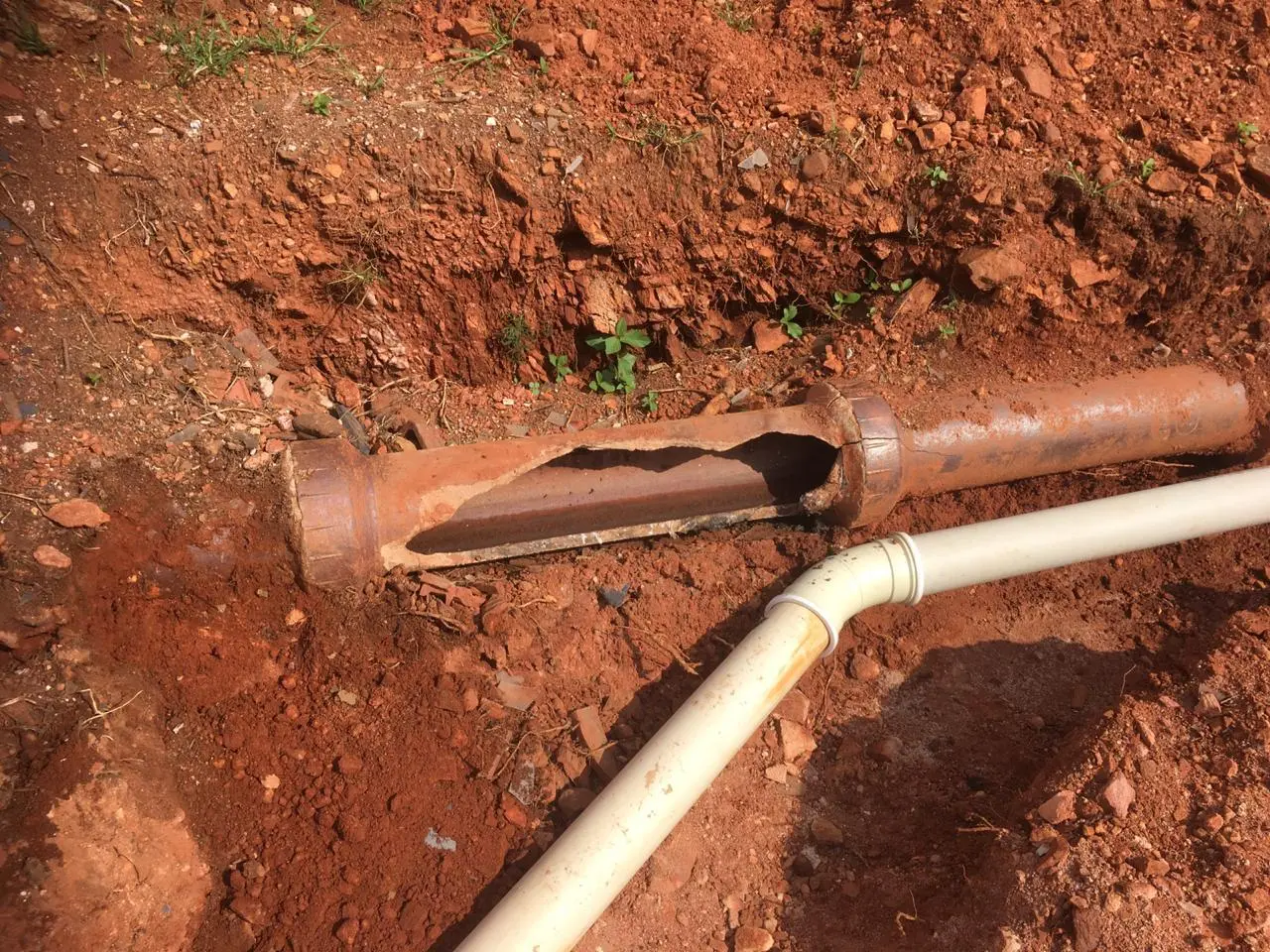 5 Signs you have a sewer blockage – and what to do when it happens